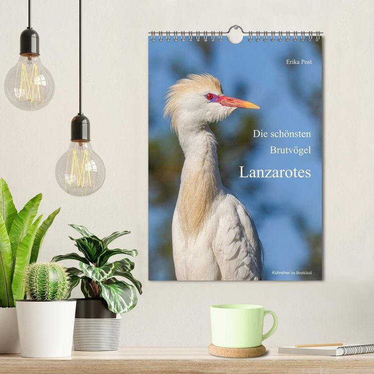 Produktbild: Die sch&ouml;nsten Brutv&ouml;gel Lanzarotes (Wandkalender 2027 DIN A4 hoch), CALVENDO Monatskalender