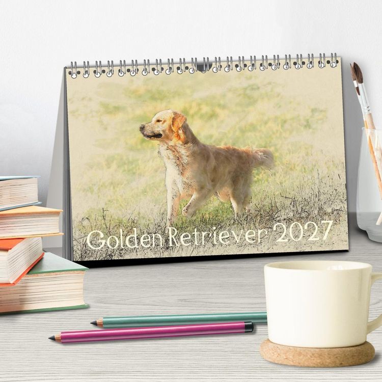 Produktbild: Golden Retriever 2027 (Tischkalender 2027 DIN A5 quer), CALVENDO Monatskalender