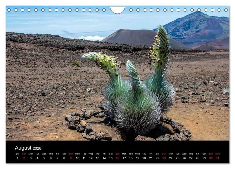Produktbild: Paradise on Earth HAWAII (Wall Calendar 2026 DIN A4 landscape), CALVENDO 12 Month Wall Calendar