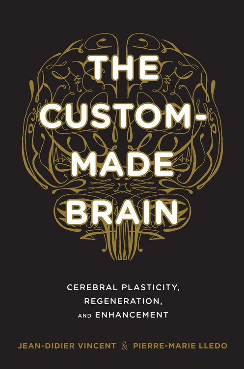 Produktbild: The Custom-Made Brain