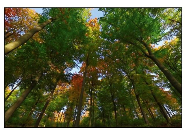 Produktbild: Herbstfarben (Tischaufsteller DIN A5 quer)