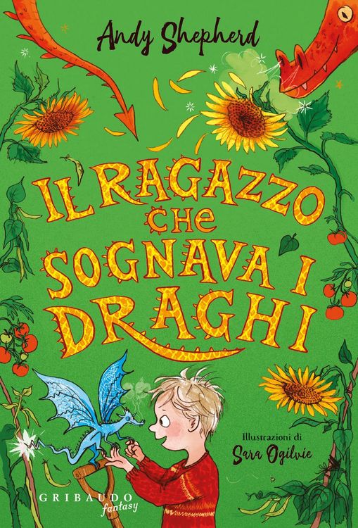 Produktbild: Il ragazzo che sognava i draghi