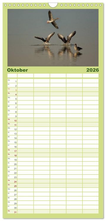 Produktbild: Familienplaner 2026 - Das faszinierende Reich der V&ouml;gel mit 5 Spalten (Wandkalender, 21 x 45 cm) CALVENDO
