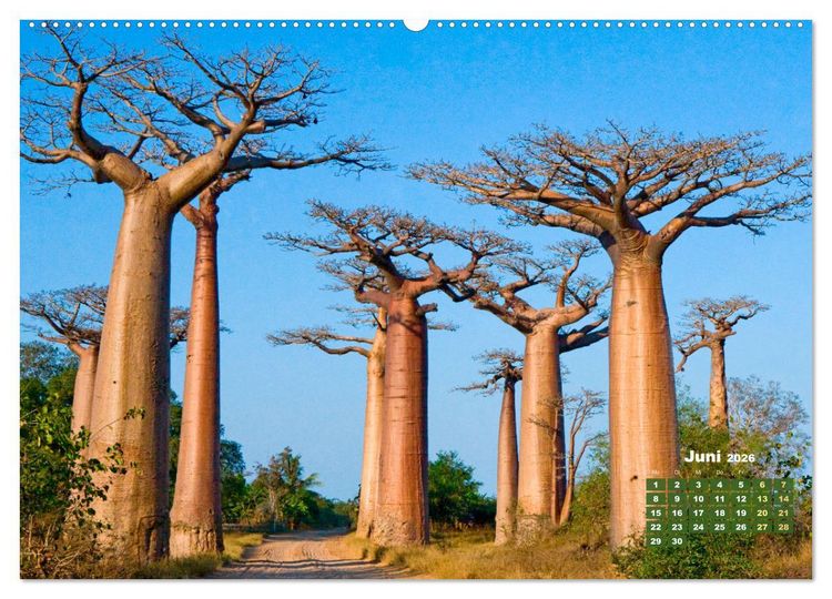 Produktbild: Alleen: Der Weg ist das Ziel (hochwertiger Premium Wandkalender 2026 DIN A2 quer), Kunstdruck in Hochglanz