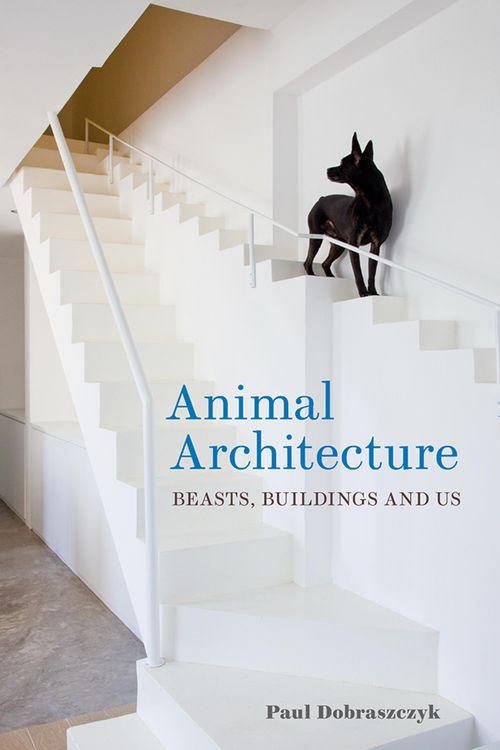 Produktbild: Animal Architecture