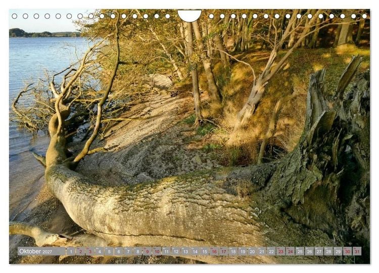 Produktbild: Am sch&ouml;nsten Uferabschnitt der Schlei (Wandkalender 2027 DIN A4 quer), CALVENDO Monatskalender