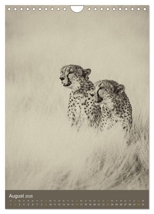 Produktbild: Afrikas Tierwelt - Sepia-Art (Wandkalender 2026 DIN A4 hoch), CALVENDO Monatskalender