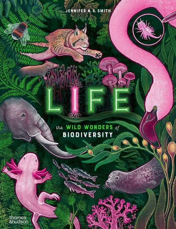 Produktbild: Life