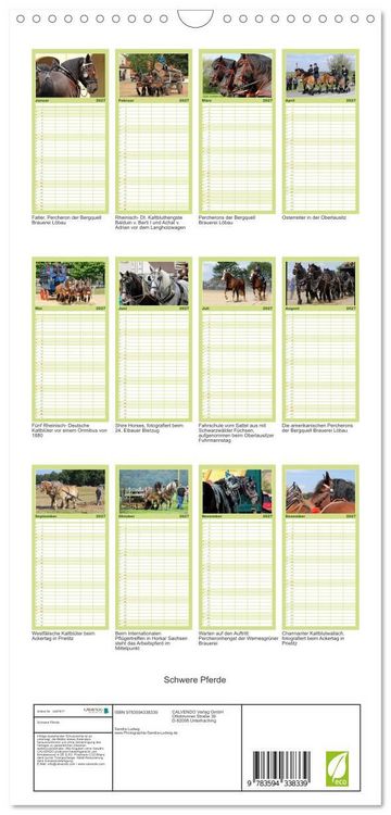 Produktbild: Familienplaner 2027 - Schwere Pferde mit 5 Spalten (Wandkalender, 21 x 45 cm) CALVENDO