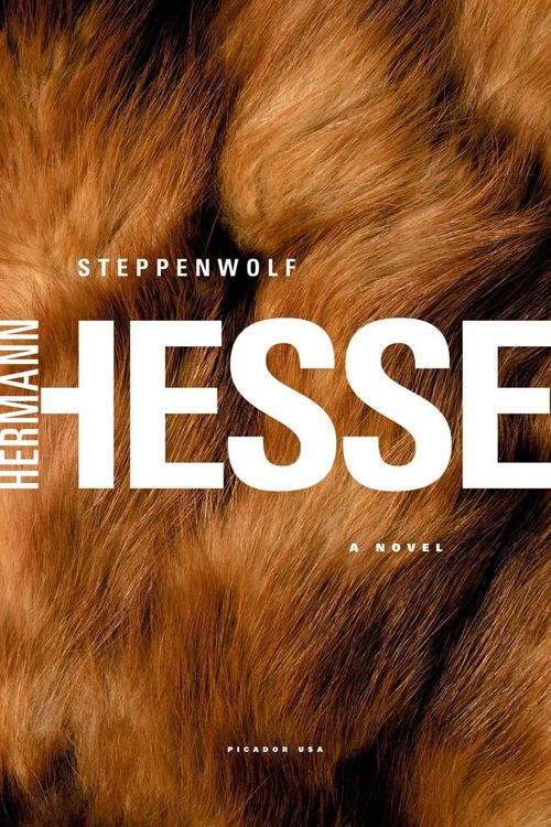 Produktbild: Steppenwolf