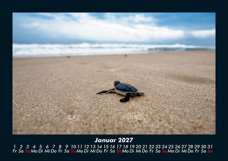 Produktbild: Schildkr&ouml;tenzauber 2027 Fotokalender DIN A5