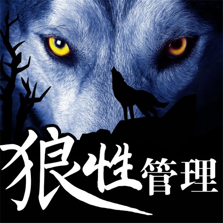 Produktbild: 狼性管理