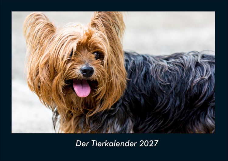 Produktbild: Der Tierkalender 2027 Fotokalender DIN A4