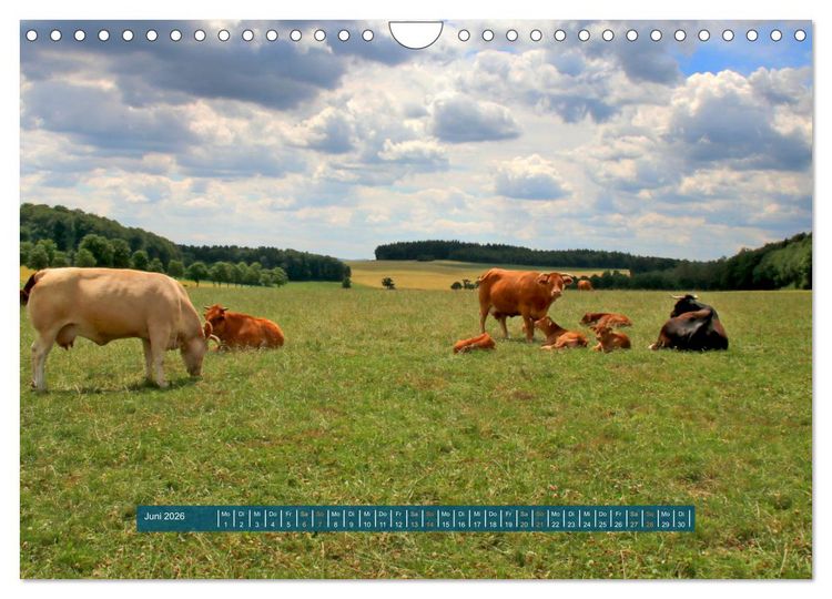 Produktbild: Die Toskana der Eifel - Das Lampertstal (Wandkalender 2026 DIN A4 quer), CALVENDO Monatskalender