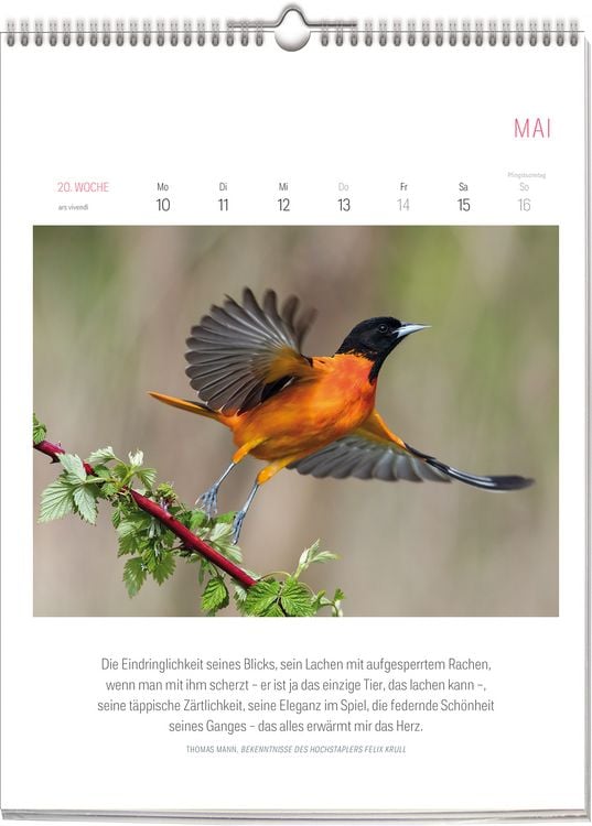 Produktbild: Literarischer Vogel Kalender 2027