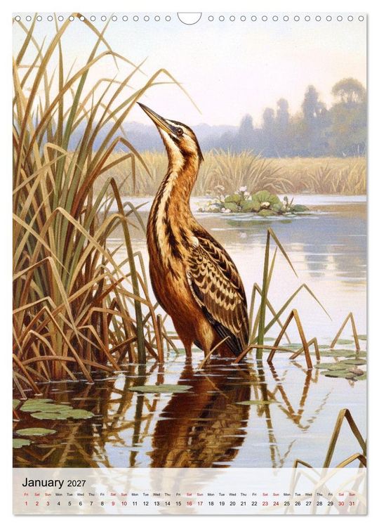 Produktbild: Birds of Europe in Old Paintings (Wall Calendar 2027 DIN A3 portrait), CALVENDO 12 Month Wall Calendar