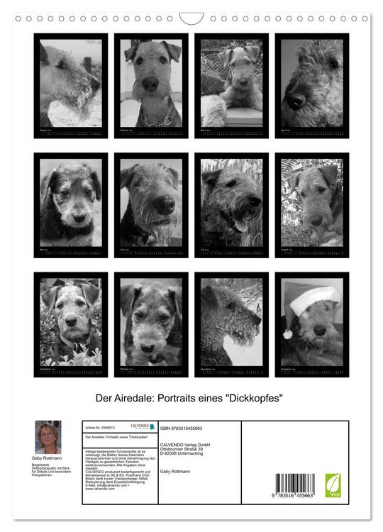 Produktbild: Der Airedale: Portraits eines "Dickkopfes" (Wandkalender 2026 DIN A3 hoch), CALVENDO Monatskalender