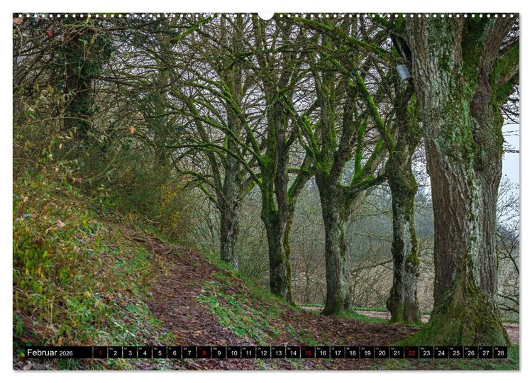 Produktbild: Herbst rund um den Bodensee (Wandkalender 2026 DIN A2 quer), CALVENDO Monatskalender