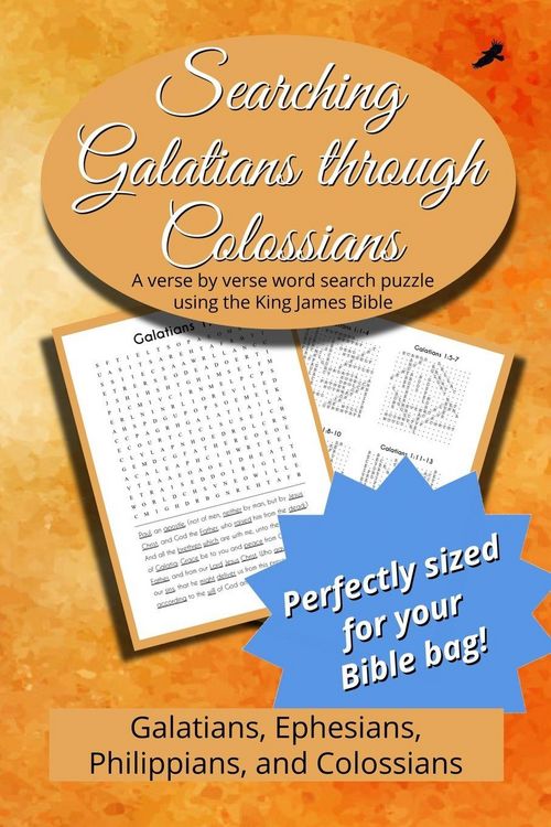 Produktbild: Searching Galatians through Colossians