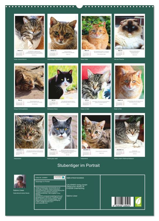 Produktbild: Stubentiger im Portrait (hochwertiger Premium Wandkalender 2026 DIN A2 hoch), Kunstdruck in Hochglanz