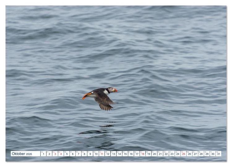 Produktbild: Lofoten Vester&aring;len (hochwertiger Premium Wandkalender 2026 DIN A2 quer), Kunstdruck in Hochglanz