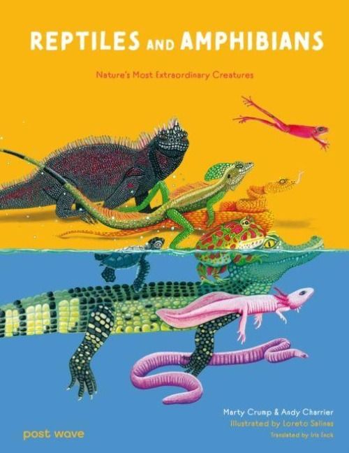 Produktbild: Reptiles and Amphibians