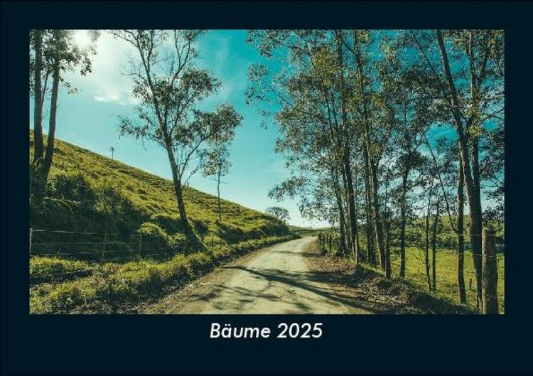 Produktbild: B&auml;ume 2025 Fotokalender DIN A5