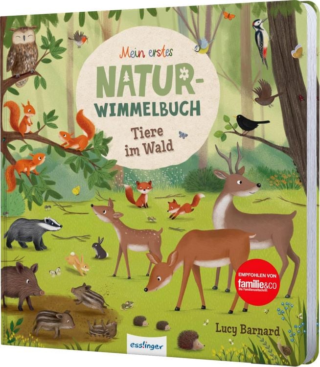 Produktbild: Mein erstes Natur-Wimmelbuch: Tiere im Wald