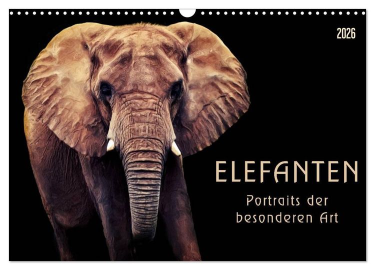 Produktbild: Elefanten - Portraits der besonderen Art (Wandkalender 2026 DIN A3 quer), CALVENDO Monatskalender