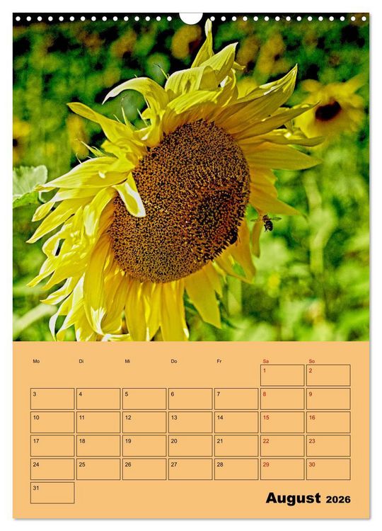 Produktbild: Die Biene und die Farbe gelb (Wandkalender 2026 DIN A3 hoch), CALVENDO Monatskalender