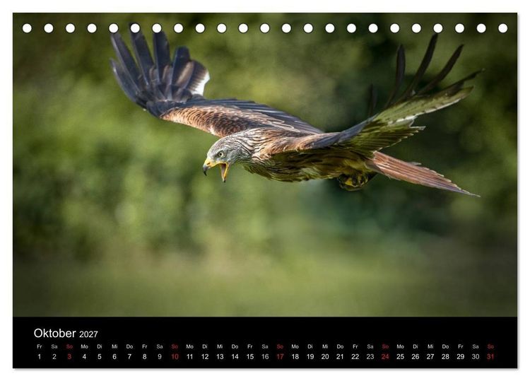 Produktbild: Sch&ouml;nheiten der L&uuml;fte - Greifv&ouml;gel (Tischkalender 2027 DIN A5 quer), CALVENDO Monatskalender