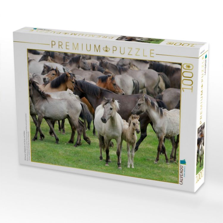 Produktbild: CALVENDO Puzzle D&uuml;lmener Wildpferde mit Stute und Fohlen | 1000 Teile Lege-Gr&ouml;&szlig;e 64x48cm Foto-Puzzle f&uuml;r gl&uuml;ckliche Stunden