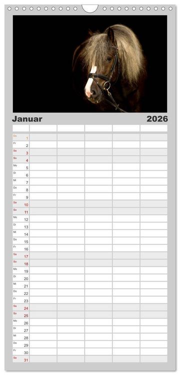 Produktbild: Familienplaner 2026 - Faszination und Vielfalt - Schwarzw&auml;lder Kaltblut mit 5 Spalten (Wandkalender, 21 x 45 cm) CALVENDO