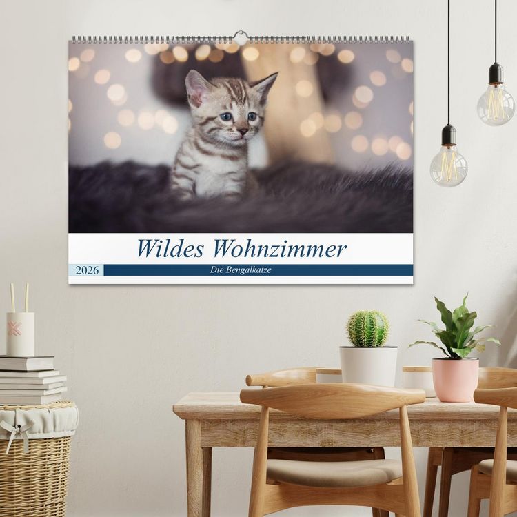 Produktbild: Wildes Wohnzimmer - Die Bengalkatze (Wandkalender 2026 DIN A2 quer), CALVENDO Monatskalender