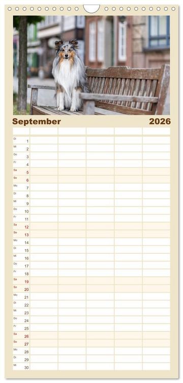 Produktbild: Familienplaner 2026 - Hunde in der City - Unterwegs in Hamburg mit 5 Spalten (Wandkalender, 21 x 45 cm) CALVENDO