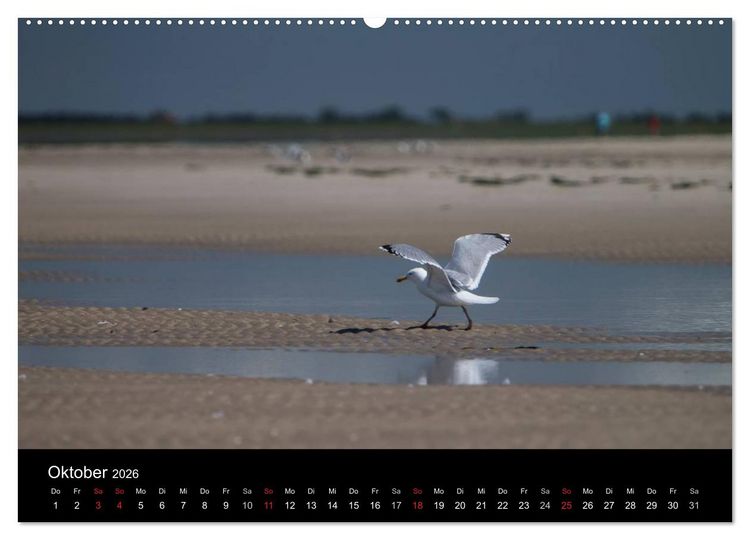 Produktbild: Amrumer Impressionen (hochwertiger Premium Wandkalender 2026 DIN A2 quer), Kunstdruck in Hochglanz