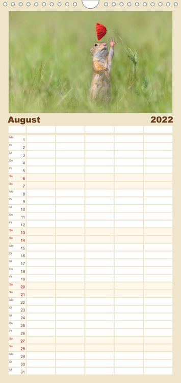 Produktbild: Familienplaner Naturfotografie (Wandkalender 2022 , 21 cm x 45 cm, hoch)