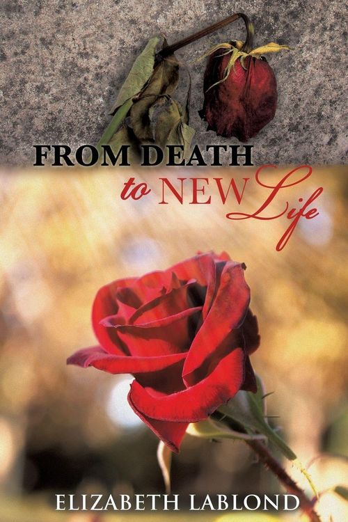 Produktbild: From Death to New Life