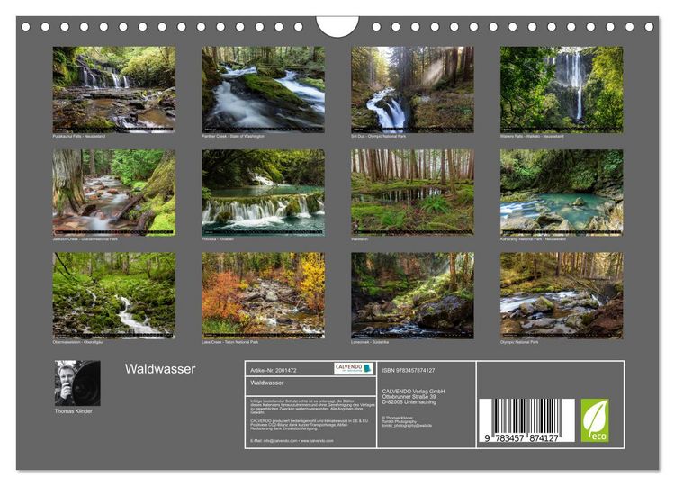 Produktbild: Waldwasser (Wandkalender 2026 DIN A4 quer), CALVENDO Monatskalender