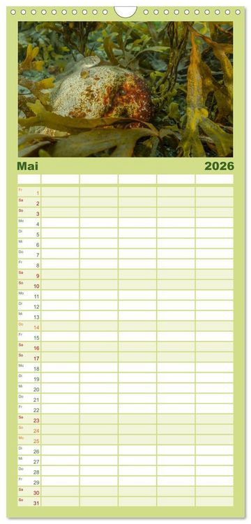 Produktbild: Familienplaner 2026 - Unter Wasser rund um Fehmarn mit 5 Spalten (Wandkalender, 21 x 45 cm) CALVENDO