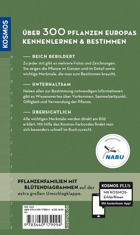 Produktbild: Welche essbare Wildpflanze ist das?