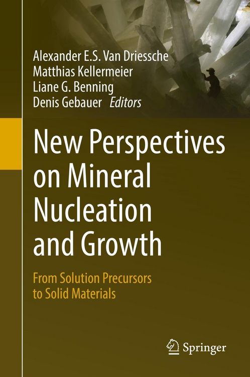 Produktbild: New Perspectives on Mineral Nucleation and Growth