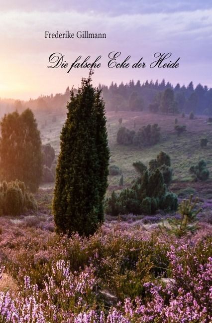 Produktbild: Die falsche Ecke der Heide