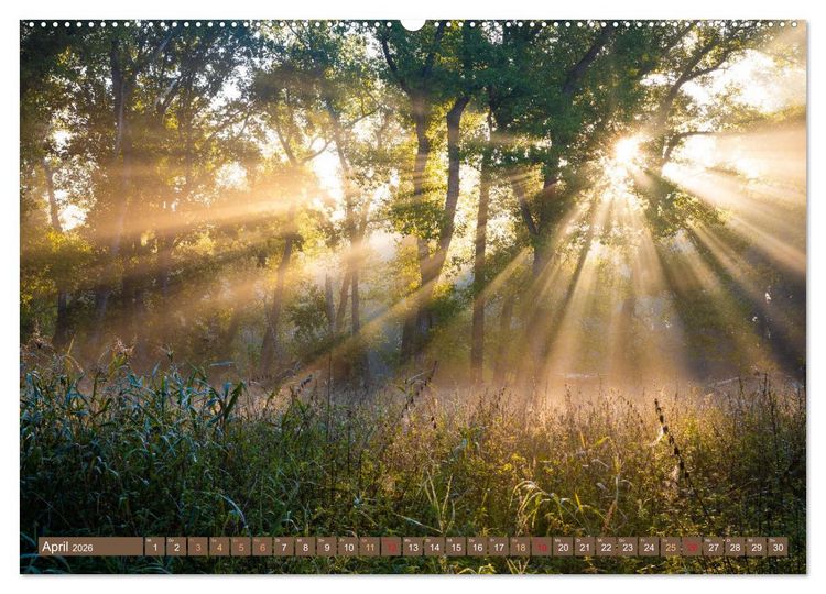 Produktbild: Herbst im Dieskauer Park (Wandkalender 2026 DIN A2 quer), CALVENDO Monatskalender