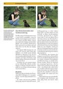 Produktbild: Labrador Retriever