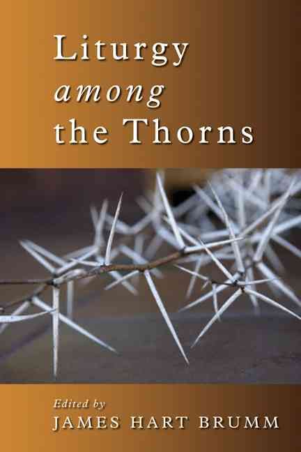Produktbild: Liturgy Among the Thorns: Essays on Worship in the Reformed Church in America