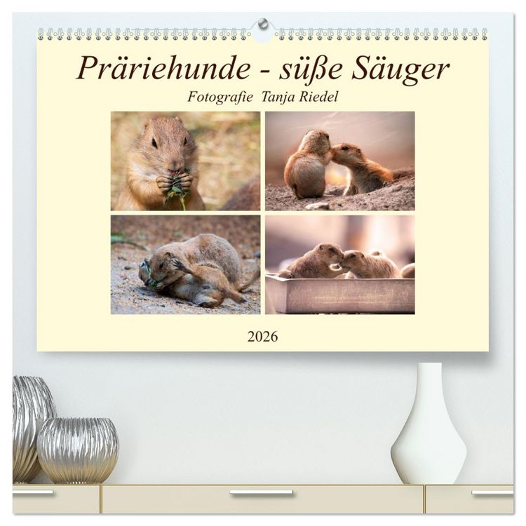 Produktbild: Pr&auml;riehunde - s&uuml;&szlig;e S&auml;uger (hochwertiger Premium Wandkalender 2026 DIN A2 quer), Kunstdruck in Hochglanz