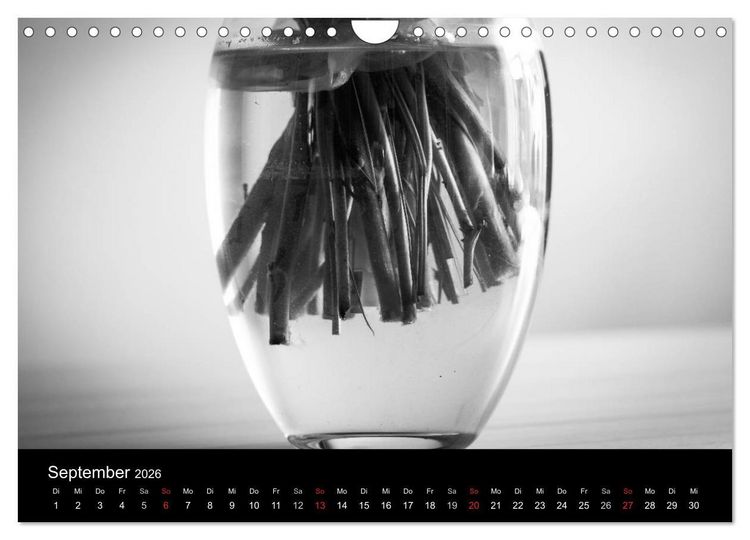 Produktbild: Monochrom 2026 (Wandkalender 2026 DIN A4 quer), CALVENDO Monatskalender