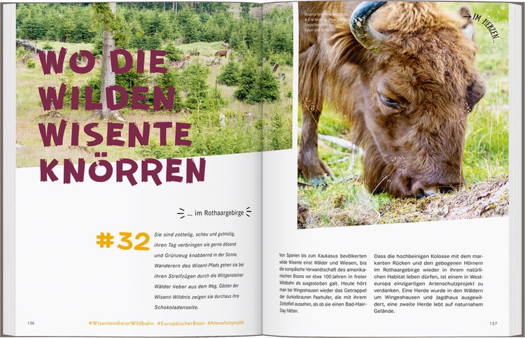 Produktbild: 52 kleine & gro&szlig;e Eskapaden in Deutschland &ndash; Unterwegs mit Kindern