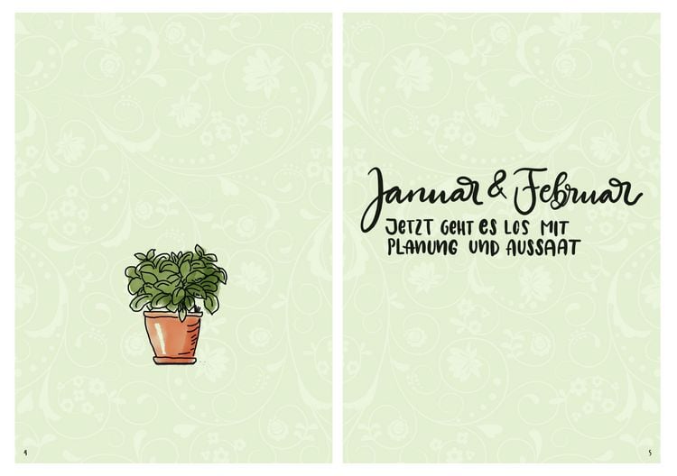 Produktbild: Mein Kr&auml;uter-Jahr - Das informative Bullet Journal - Monat f&uuml;r Monat
